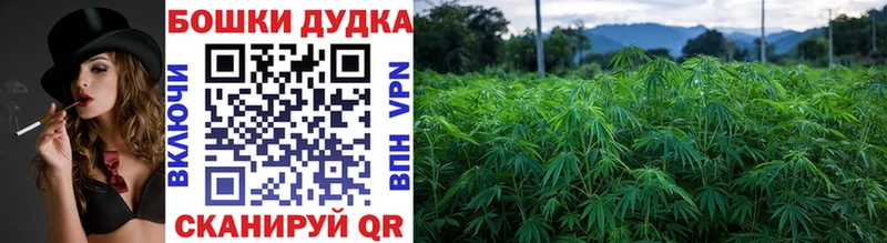 Купить где  Ялуторовск  Бошки марихуана марихуана